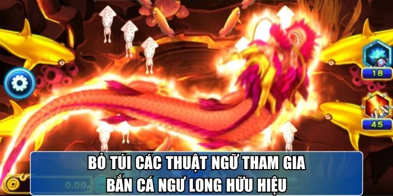 bo-tui-cac-thuat-ngu-tham-gia-ban-ca-ngu-long-huu-hieu