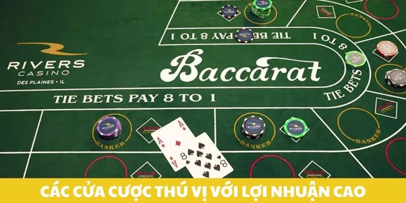 cac-cua-cuoc-thu-vi-voi-loi-nhuan-cao