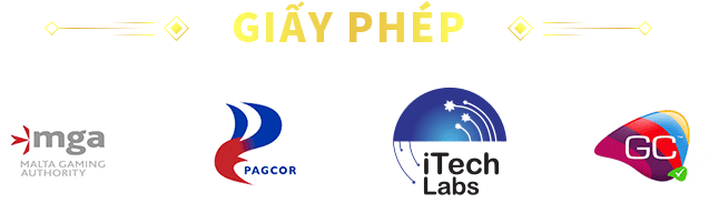giay-phep-hoat-dong